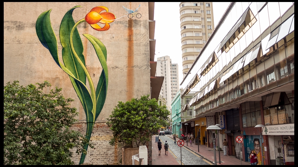 Curitiba bike flower mural - Mona Caron