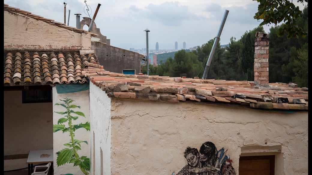 Stinging Nettle in Barcelona by Mona Caron