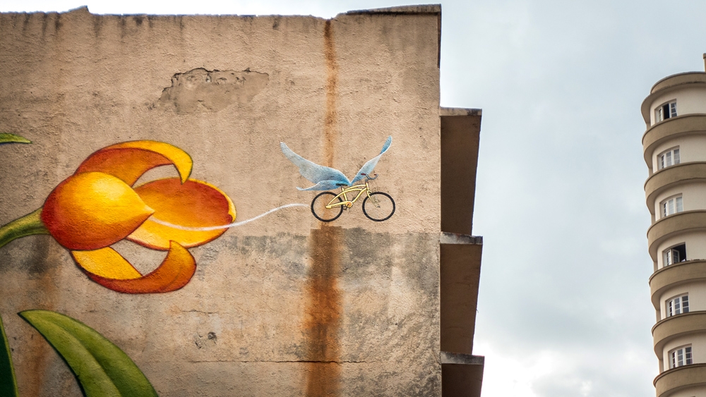Curitiba bike flower (detail) - Mona Caron