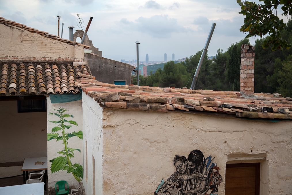 Stinging Nettle in Barcelona by Mona Caron