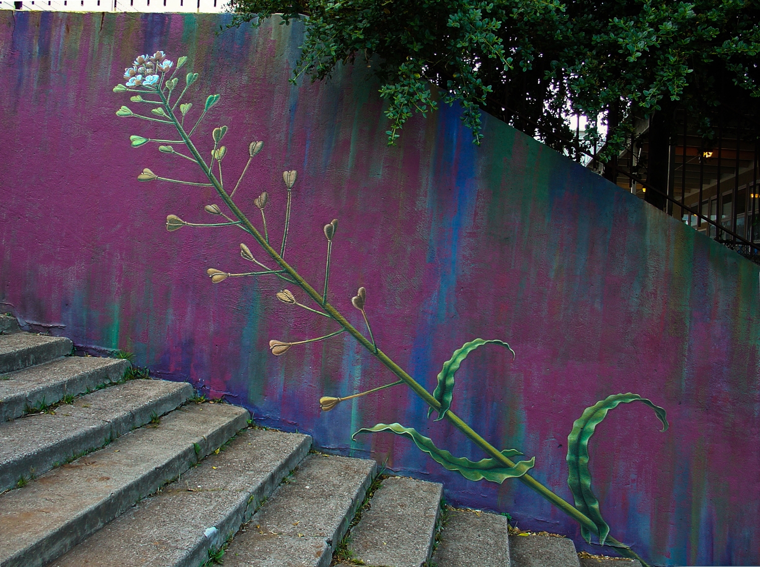 Botanic Muralists The Botanical Mural | monacaron.com